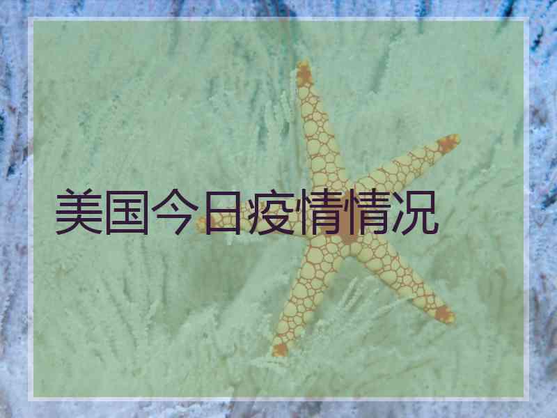 美国今日疫情情况