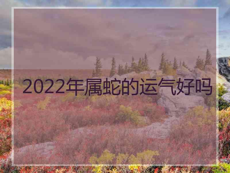 2022年属蛇的运气好吗