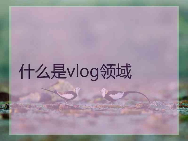 什么是vlog领域