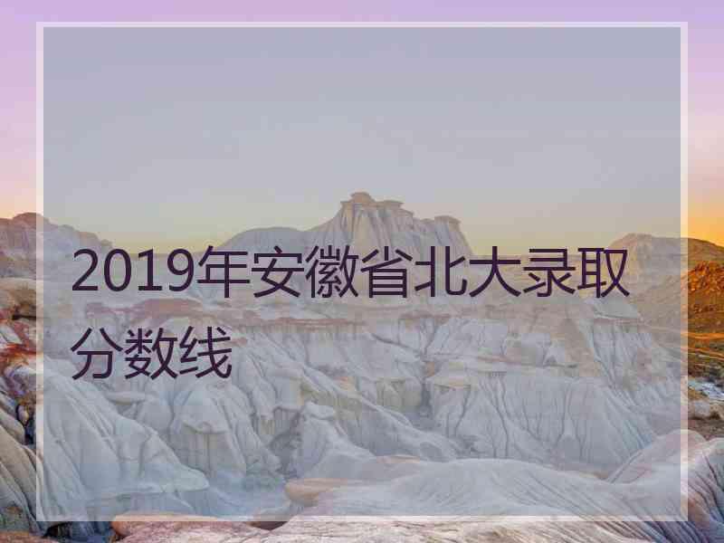 2019年安徽省北大录取分数线