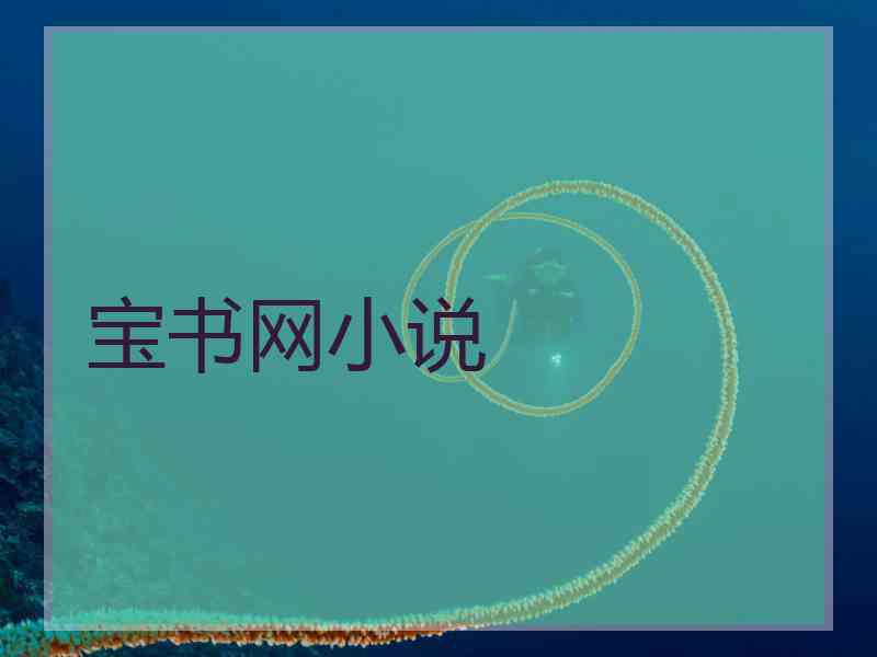宝书网小说