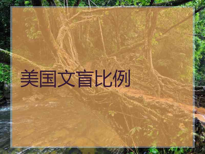 美国文盲比例