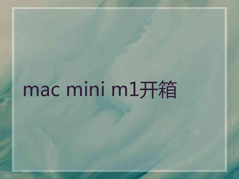 mac mini m1开箱