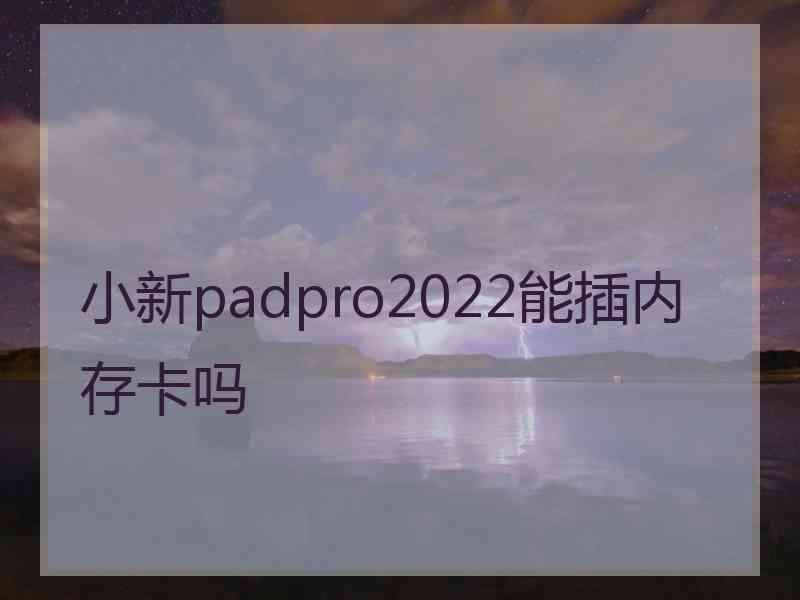 小新padpro2022能插内存卡吗