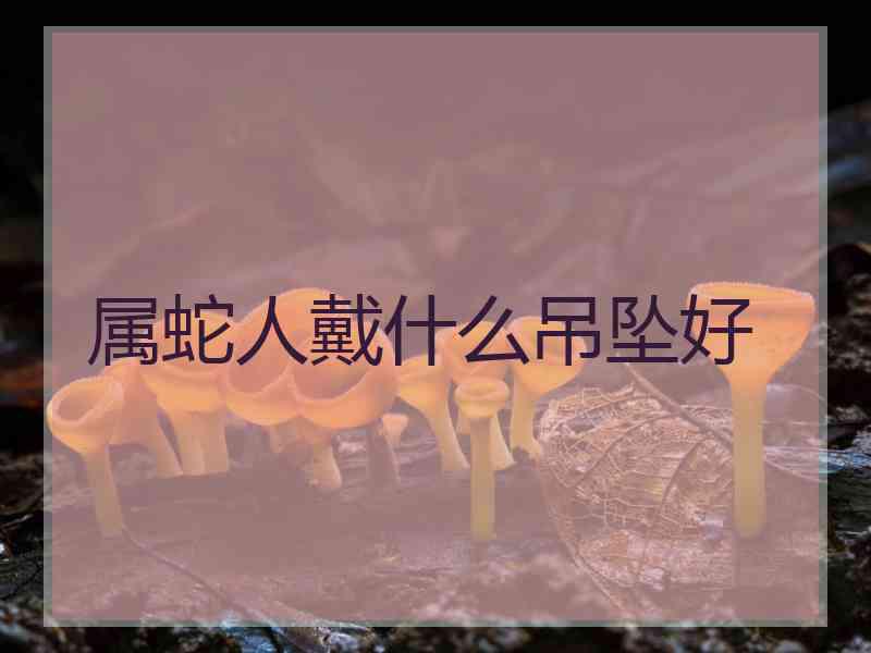 属蛇人戴什么吊坠好