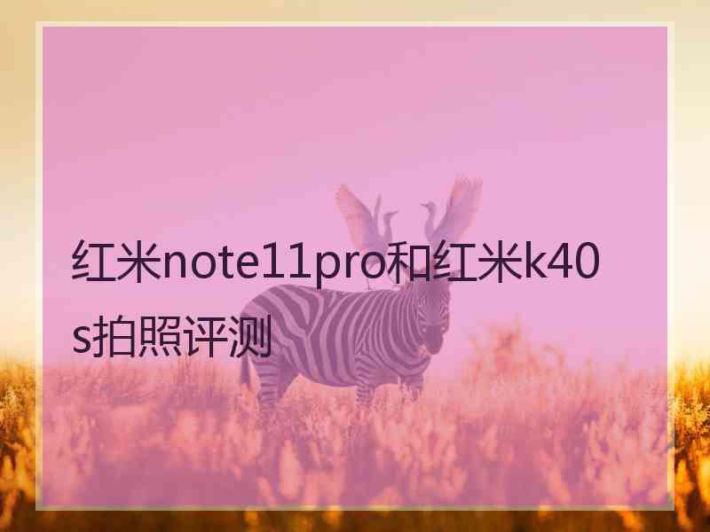红米note11pro和红米k40s拍照评测