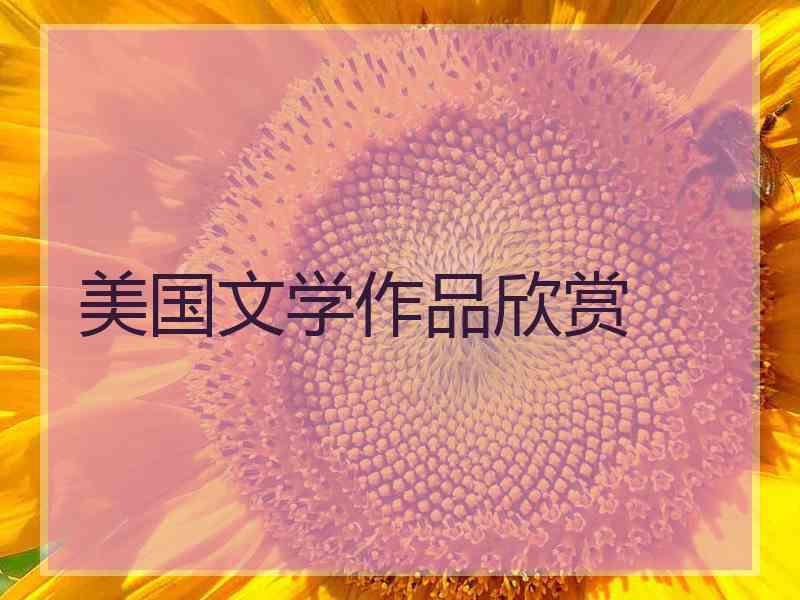 美国文学作品欣赏