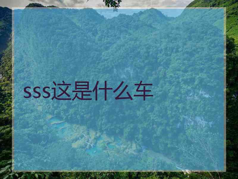 sss这是什么车