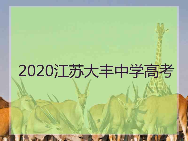 2020江苏大丰中学高考