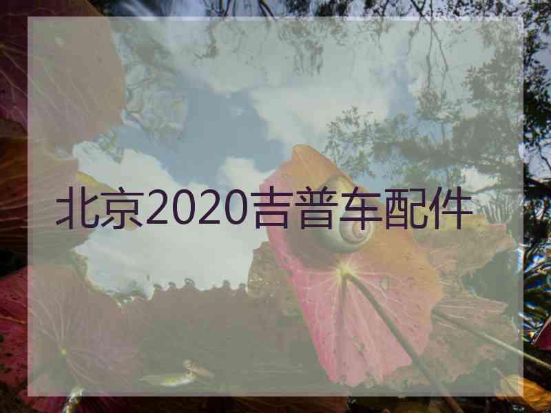 北京2020吉普车配件