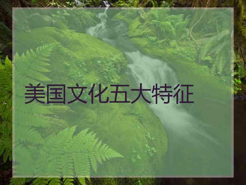 美国文化五大特征