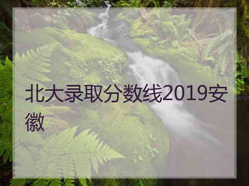 北大录取分数线2019安徽