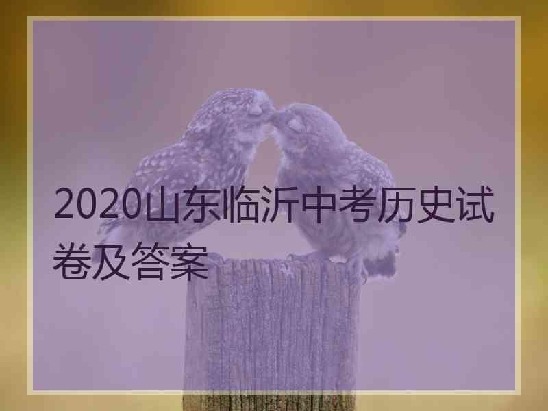 2020山东临沂中考历史试卷及答案