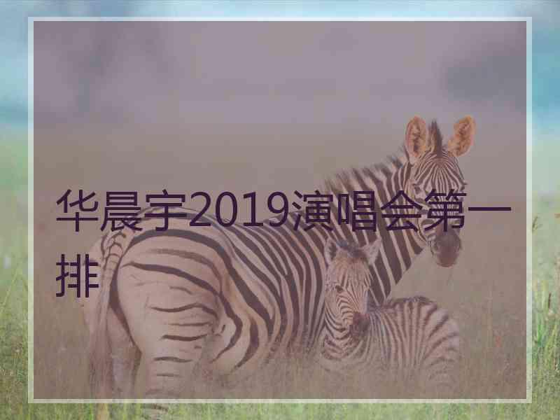 华晨宇2019演唱会第一排