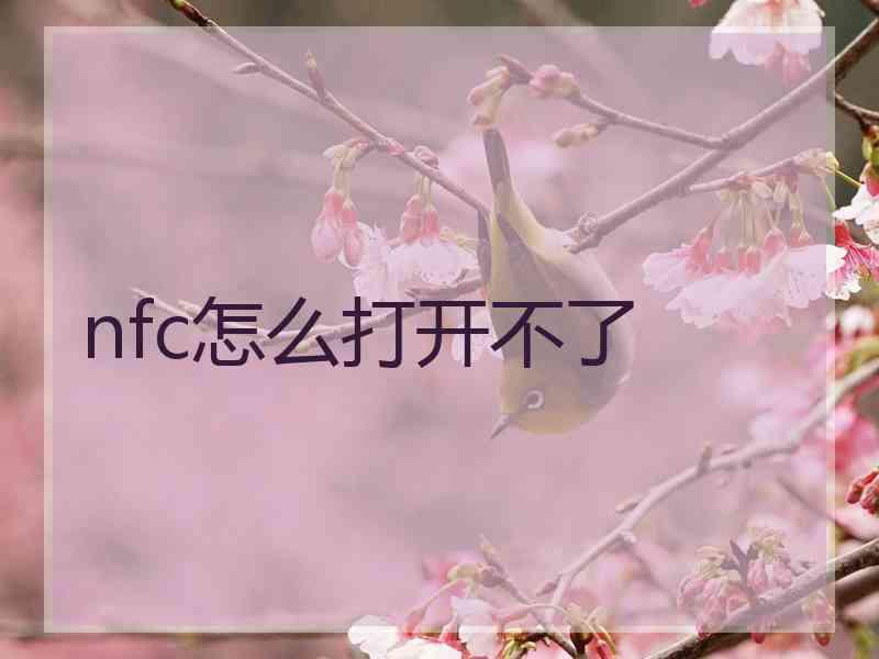 nfc怎么打开不了