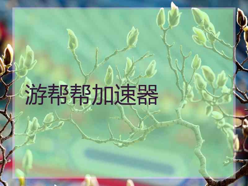 游帮帮加速器