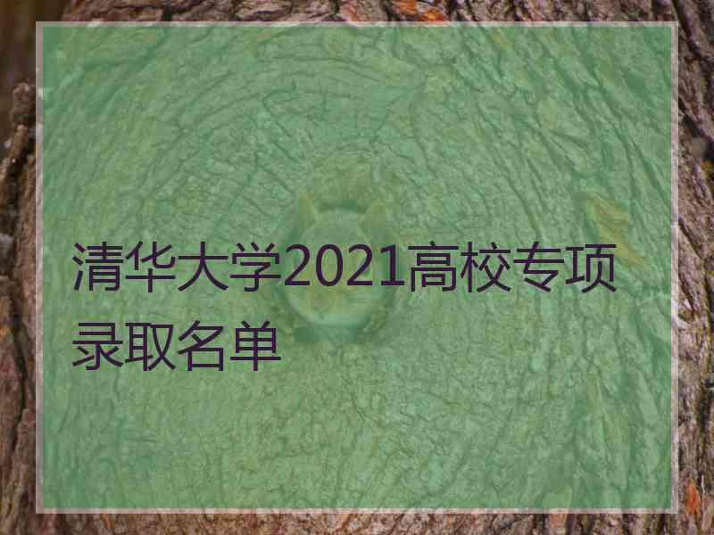 清华大学2021高校专项录取名单