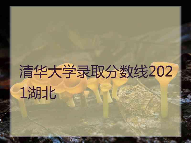 清华大学录取分数线2021湖北