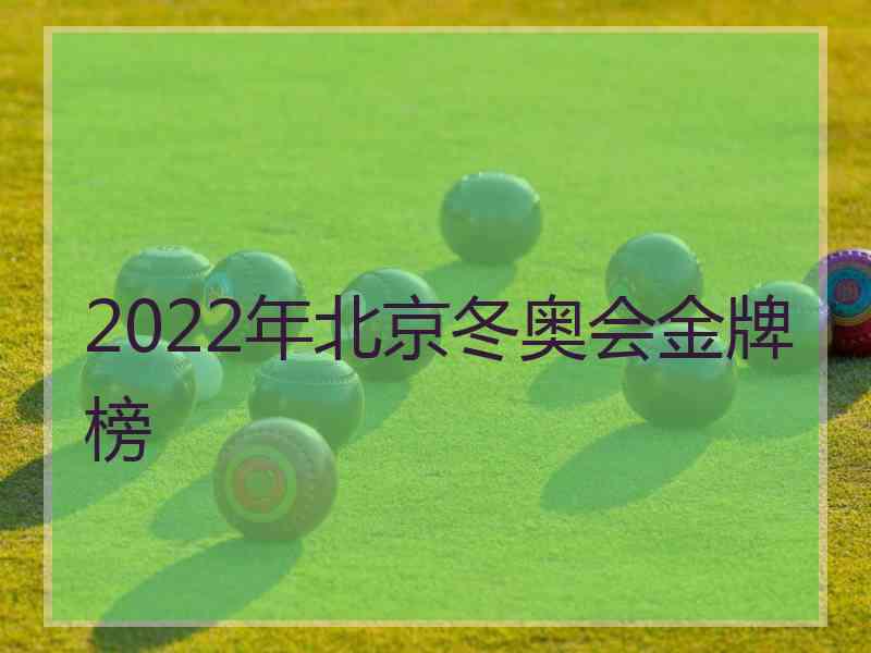 2022年北京冬奥会金牌榜