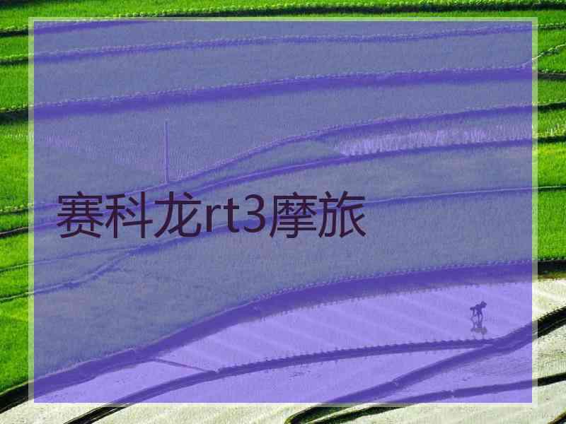 赛科龙rt3摩旅