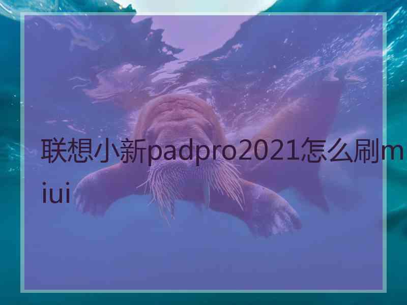 联想小新padpro2021怎么刷miui
