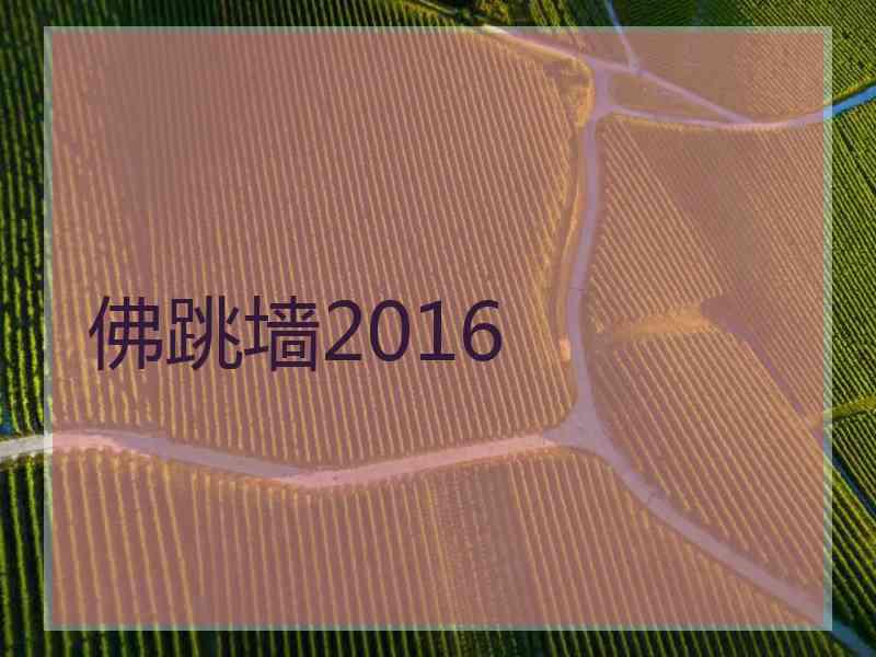 佛跳墙2016