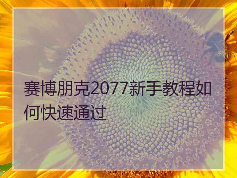 赛博朋克2077新手教程如何快速通过