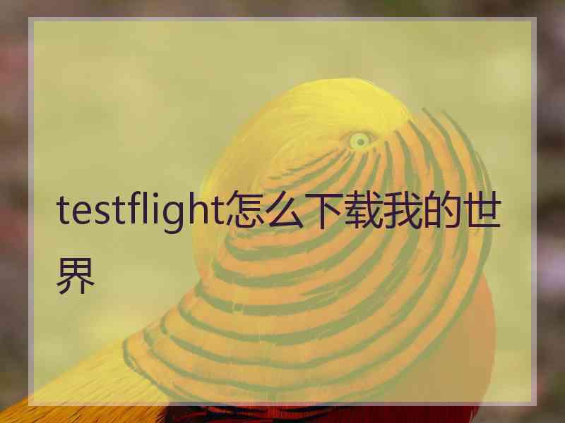 testflight怎么下载我的世界