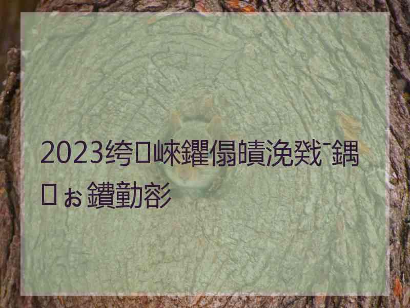 2023绔崍鑺傝皟浼戣ˉ鍝ぉ鐨勭彮