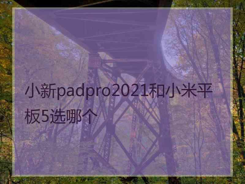 小新padpro2021和小米平板5选哪个