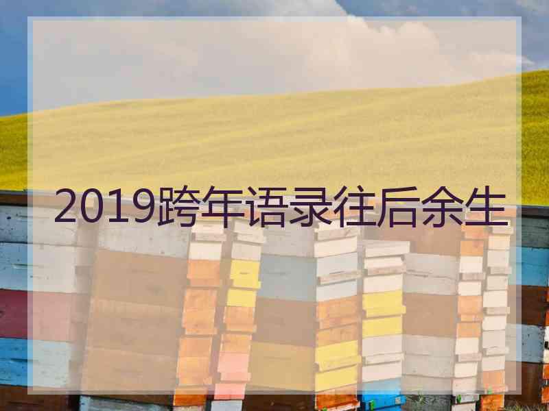2019跨年语录往后余生