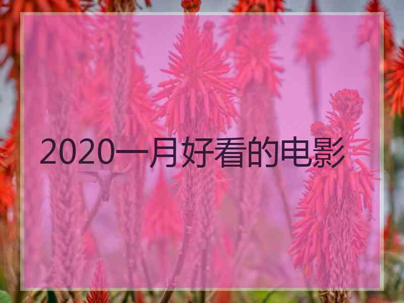 2020一月好看的电影