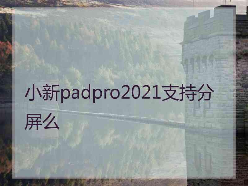 小新padpro2021支持分屏么