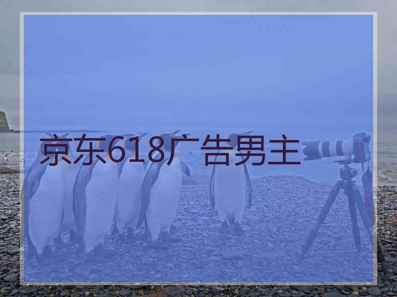 京东618广告男主