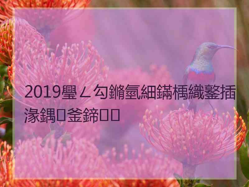 2019璺ㄥ勾鏅氫細鏋楀織鐜插湪鍝釜鍗