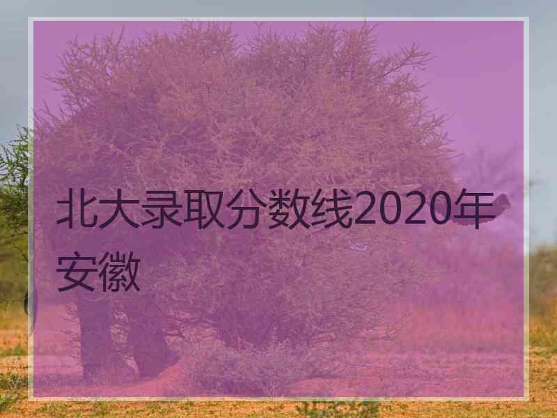 北大录取分数线2020年安徽