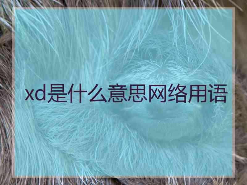 xd是什么意思网络用语