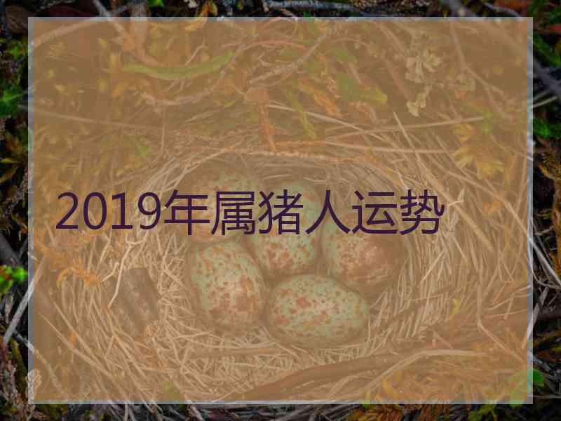 2019年属猪人运势