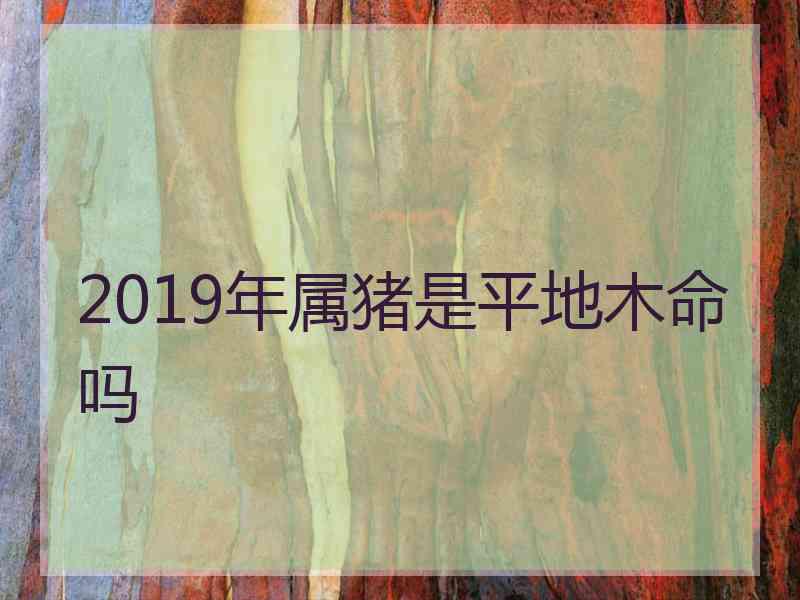 2019年属猪是平地木命吗