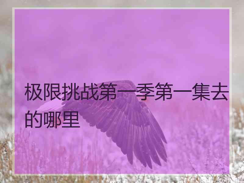 极限挑战第一季第一集去的哪里