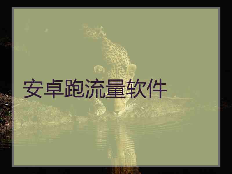 安卓跑流量软件