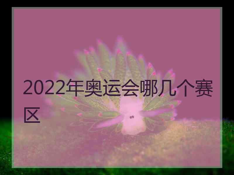 2022年奥运会哪几个赛区