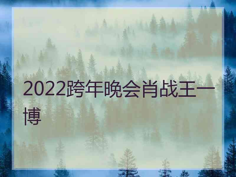 2022跨年晚会肖战王一博
