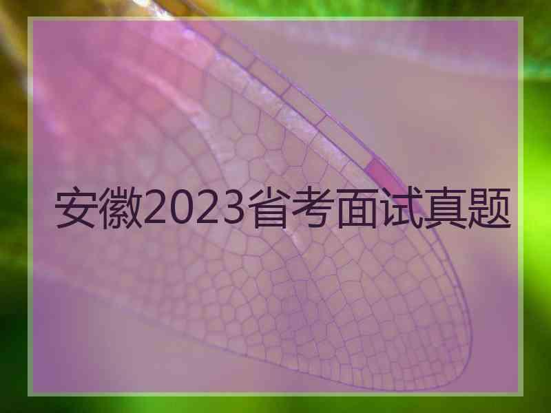 安徽2023省考面试真题