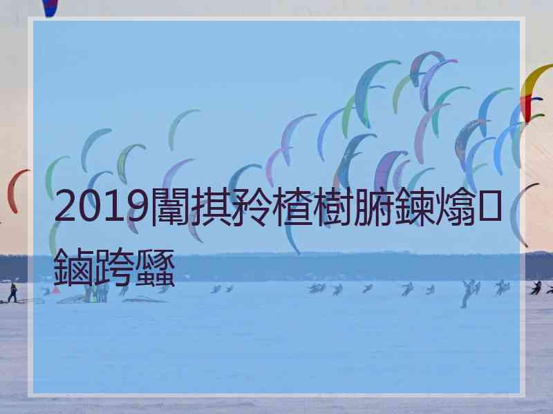 2019闈掑矝楂樹腑鍊熻鏀跨瓥