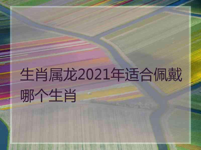 生肖属龙2021年适合佩戴哪个生肖