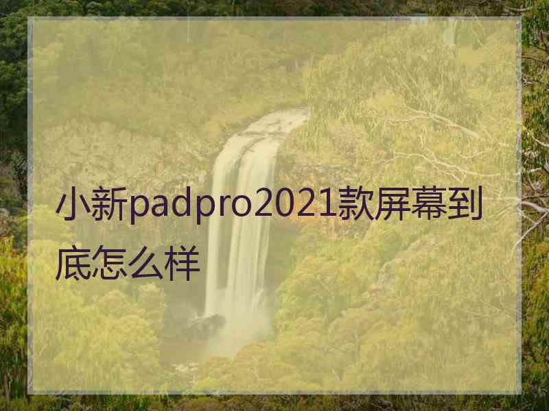 小新padpro2021款屏幕到底怎么样