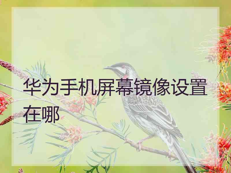 华为手机屏幕镜像设置在哪