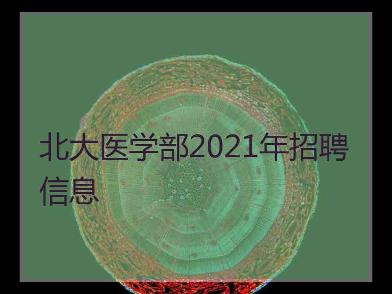 北大医学部2021年招聘信息