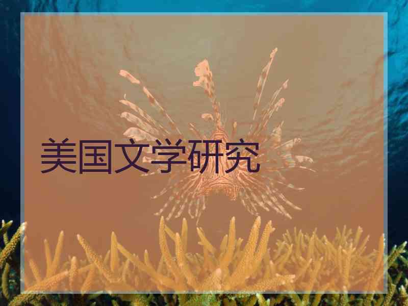 美国文学研究